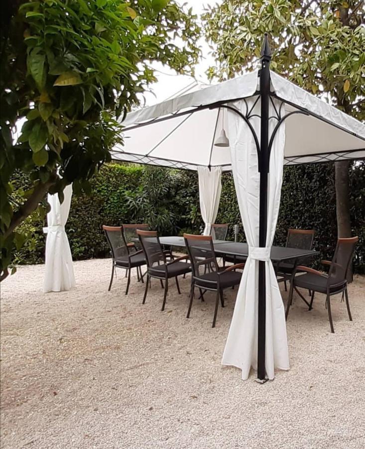 Luxury Residence Zola Zara Esterno foto